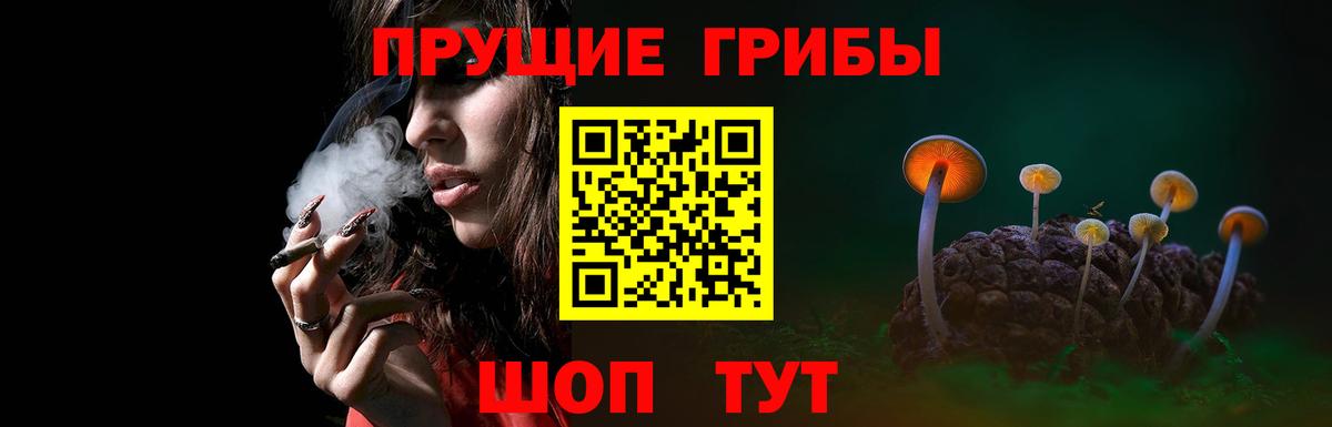Елизово  Вход с VPN  Кокаин  A PVP СК кристаллы  Меф МЯУ МЯУ   ГАШ 